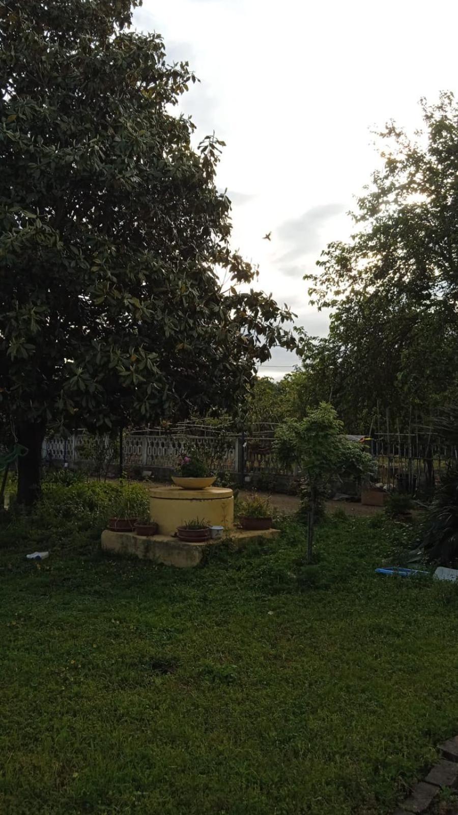 Casina Maria Apartman Róma Kültér fotó